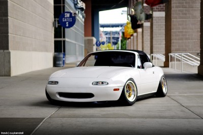stance.jpg