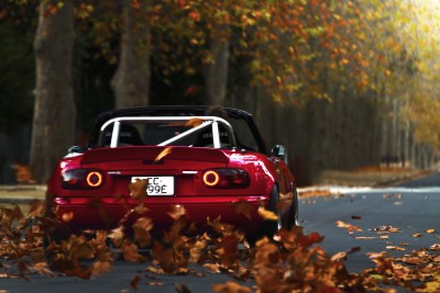 mx5-2.jpg