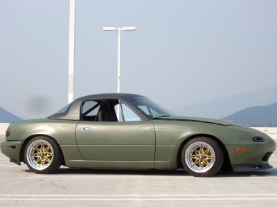 greenDSCN0727.jpg
