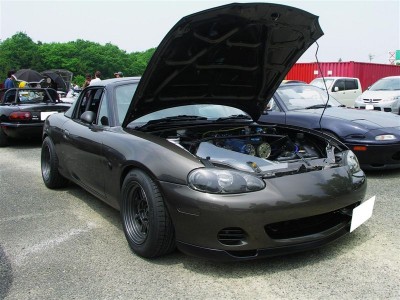 p6.jpg