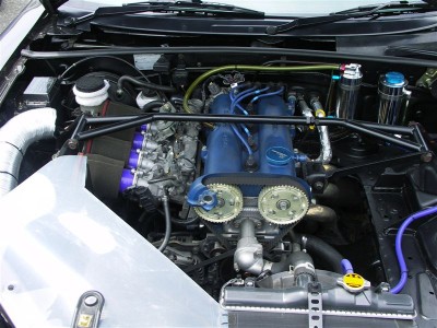 p8.jpg